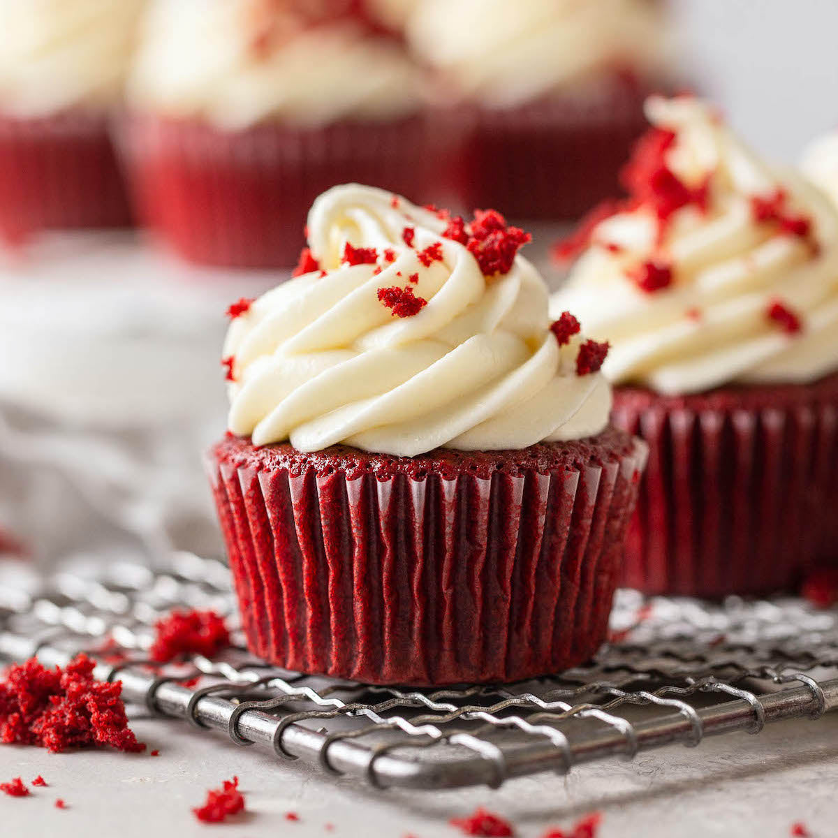 Signature Cupcakes